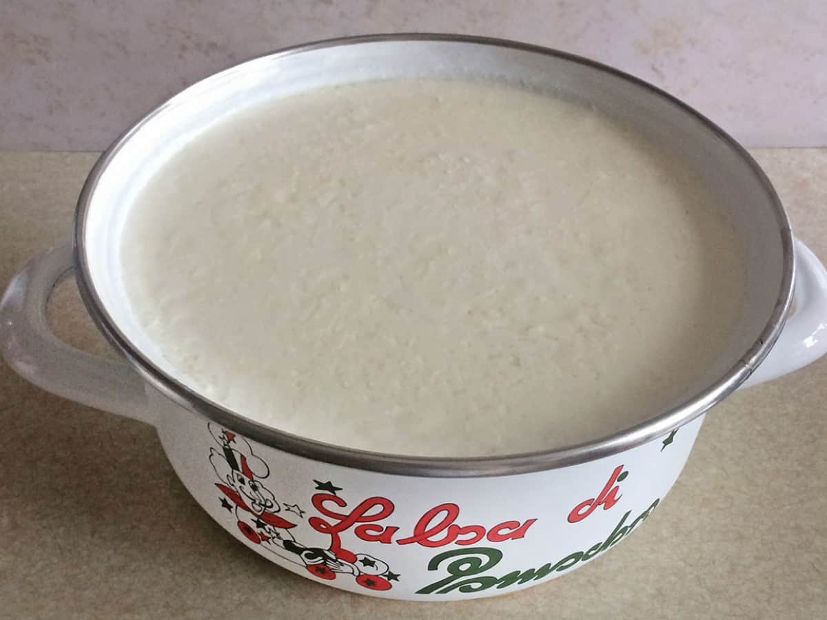 Ev Yapımı Yoğurt tarifi