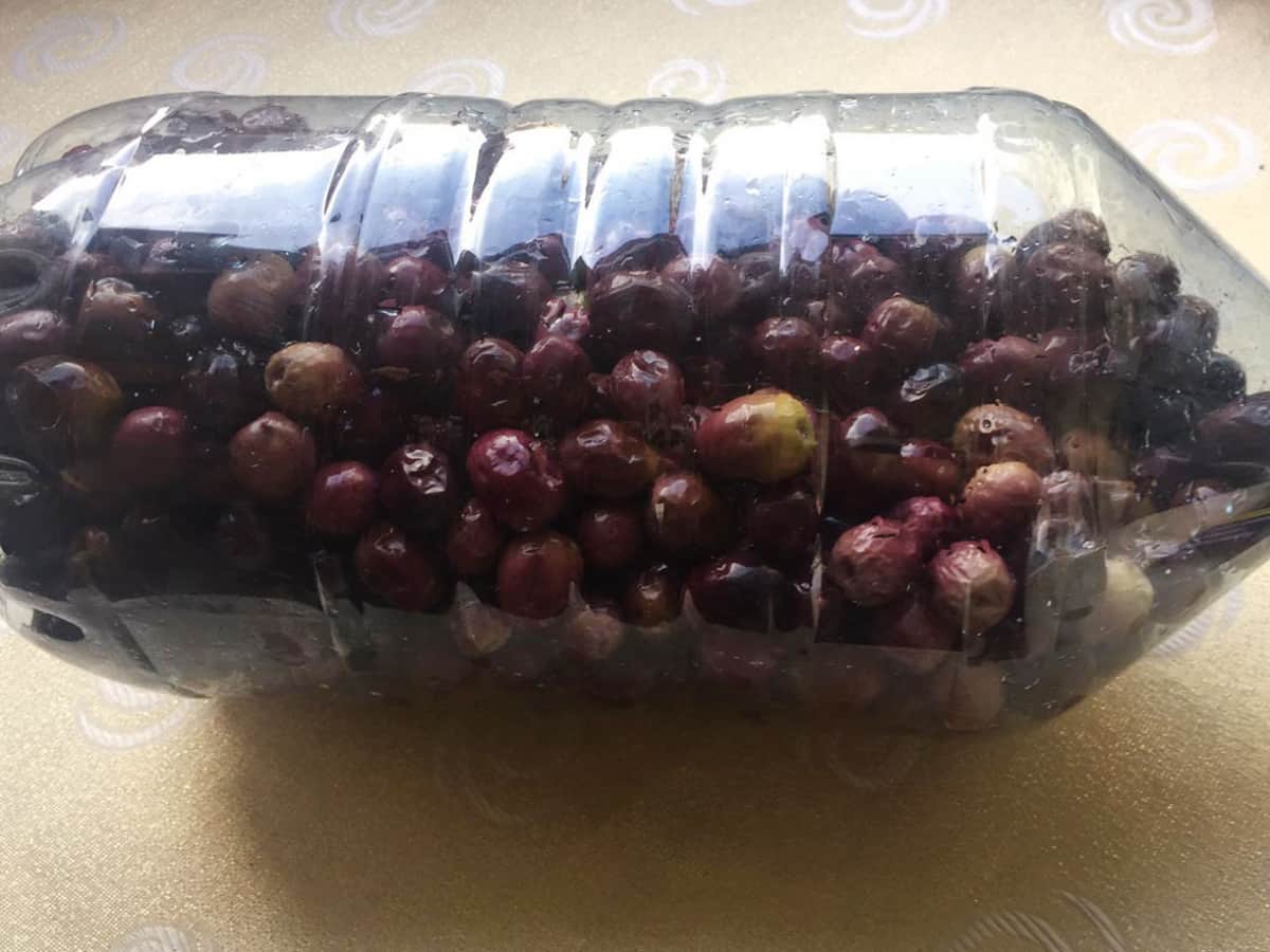 Evde Siyah Zeytin tarifi