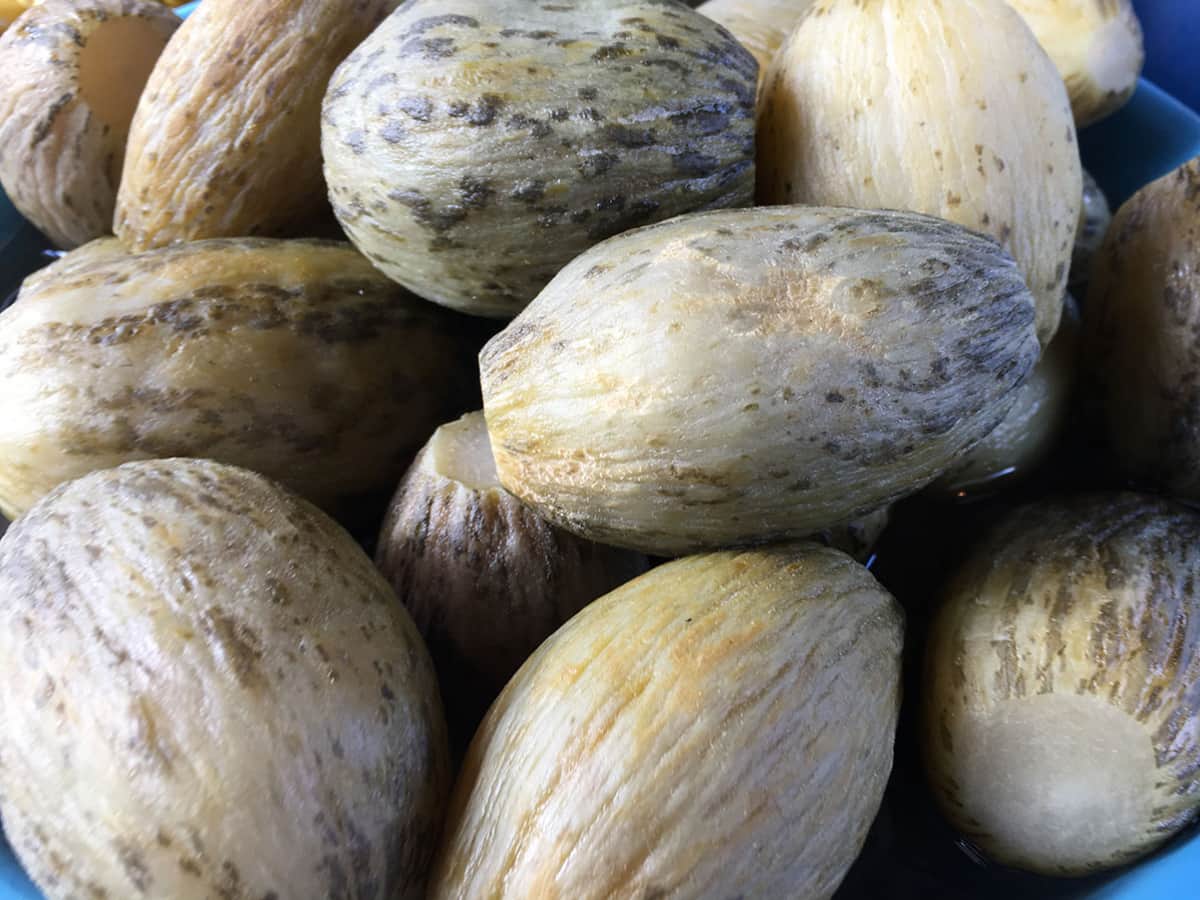 Kelek Turşusu tarifi