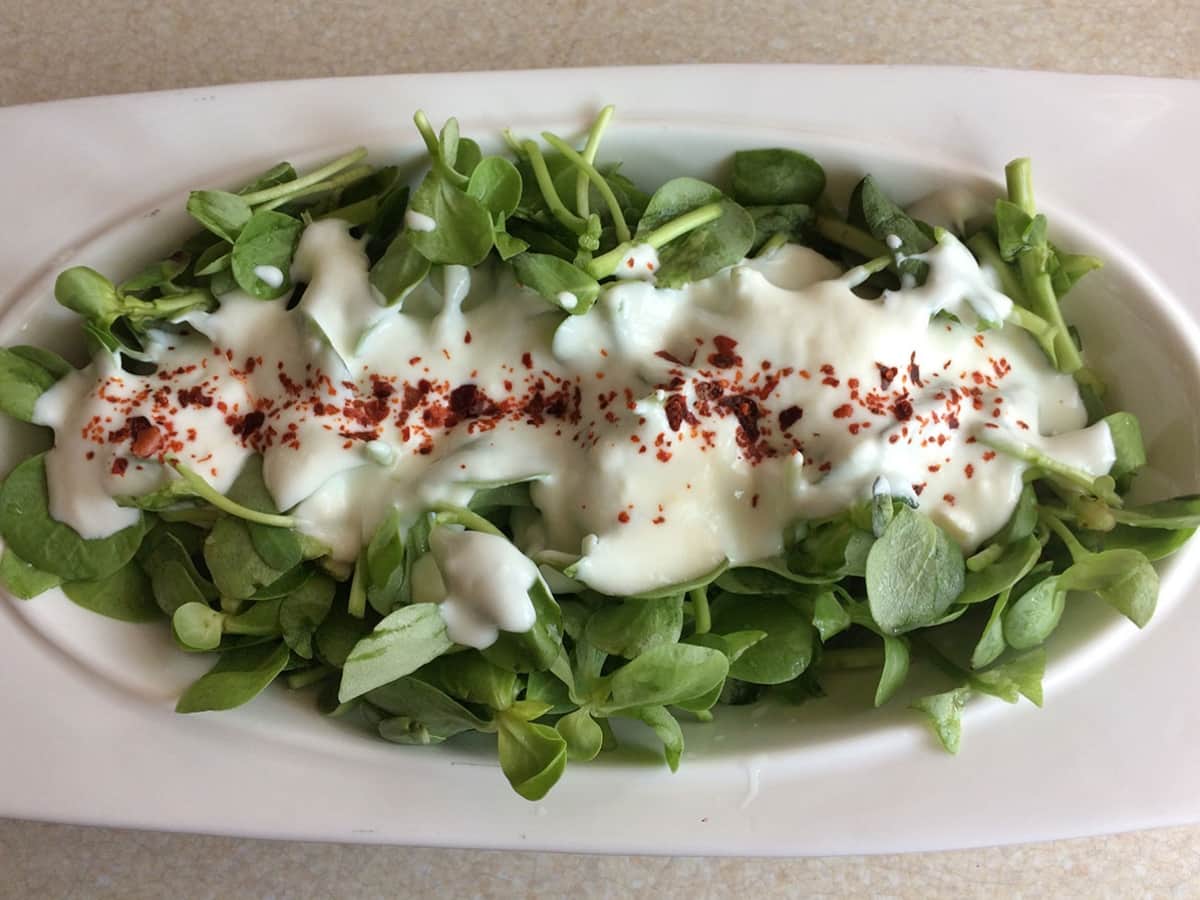 Yoğurtlu Semizotu Salatası tarifi