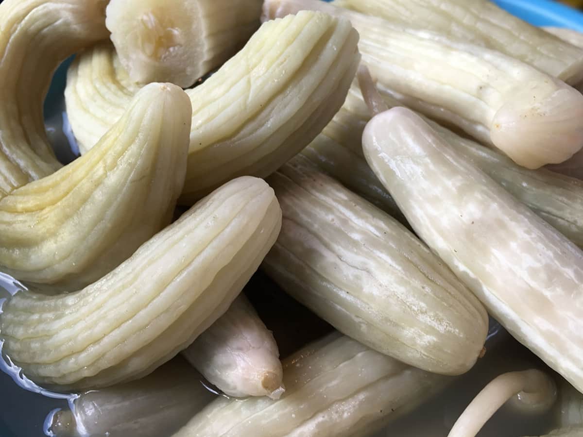 Acur Turşusu tarifi